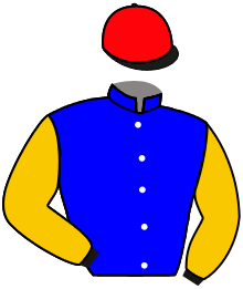 casaque portée par Barzalona M. jockey du cheval de course MAP OF STARS, information pmu ZETURF