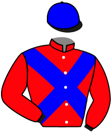 casaque portée par Pouchin A. jockey du cheval de course HIGHER LEAVES, information pmu ZETURF