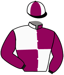 casaque portée par Thomas Ron. jockey du cheval de course WHITE PLATIN, information pmu ZETURF