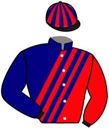 casaque portée par Pietsch A. jockey du cheval de course READY TO RUMBLE, information pmu ZETURF