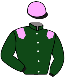 casaque portée par Demuro C. jockey du cheval de course LADY INVINCIBLE, information pmu ZETURF