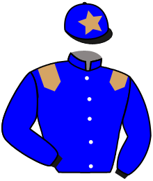 casaque portée par Molins Mme Amb. jockey du cheval de course WEDGEWOOD PEARL, information pmu ZETURF