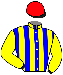 casaque portée par Provost D. jockey du cheval de course SANTO, information pmu ZETURF