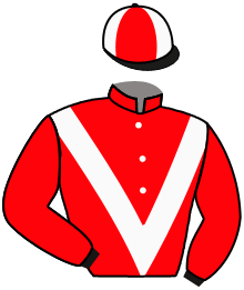casaque portée par Bails Mlle L. jockey du cheval de course ZARINA, information pmu ZETURF