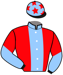 casaque portée par Chauve-laffay Q. jockey du cheval de course KANTICO LOULOU, information pmu ZETURF