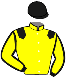 casaque portée par Gauvin F. jockey du cheval de course KAWASI JACK, information pmu ZETURF