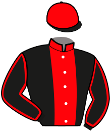 casaque portée par Desbordes D. jockey du cheval de course LANCE DU GOUTIER, information pmu ZETURF