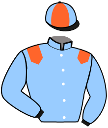 casaque portée par Goetz B. jockey du cheval de course FIRST DES BORDES, information pmu ZETURF