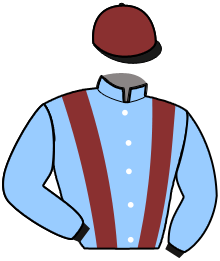 casaque portée par Lebosse J. jockey du cheval de course JEROME PICOULERIE, information pmu ZETURF