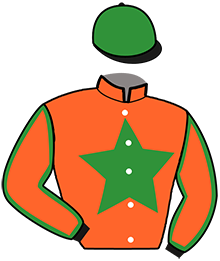 casaque portée par Collet Mlle M. jockey du cheval de course GOLD D'ALBA, information pmu ZETURF