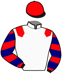 casaque portée par Abrivard M. jockey du cheval de course LAROZE DU GERS, information pmu ZETURF