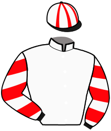 casaque portée par Marty F. jockey du cheval de course HAKIM DES CHAMPS, information pmu ZETURF