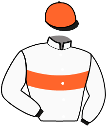 casaque portée par Langlois N. jockey du cheval de course INSTANT GRAVE, information pmu ZETURF
