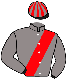 casaque portée par Goetz B. jockey du cheval de course JOY DE PHYT'S, information pmu ZETURF