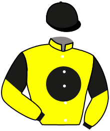 casaque portée par Guyon M. jockey du cheval de course MODERN LIGHT, information pmu ZETURF