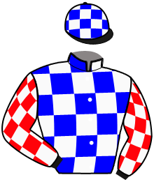 casaque portée par Zeeshaan Sahebjan Moh. jockey du cheval de course LADY NAGIN, information pmu ZETURF