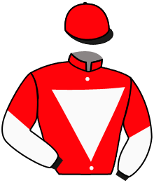 casaque portée par Guyon M. jockey du cheval de course ROGUE ENFORCER, information pmu ZETURF