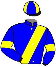 casaque portée par Marie Benj. jockey du cheval de course WALLEM, information pmu ZETURF