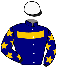 casaque portée par Mottier M. jockey du cheval de course MERCATOR, information pmu ZETURF
