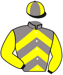 casaque portée par Monclin J. Ph. jockey du cheval de course KHALEESI DE MALAC, information pmu ZETURF