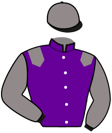 casaque portée par Barrier A. jockey du cheval de course L'ART DU SOLLIER, information pmu ZETURF