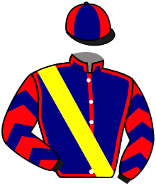 casaque portée par Seguy V. jockey du cheval de course XINGA, information pmu ZETURF