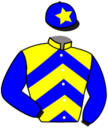 casaque portée par Foulon M. jockey du cheval de course EUSKADI, information pmu ZETURF