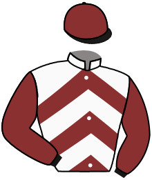 casaque portée par Trolley De Prevaux G. jockey du cheval de course MYBOYFRIEND, information pmu ZETURF