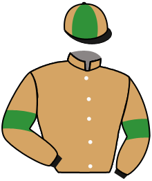 casaque portée par Veron F. jockey du cheval de course QANTIEM, information pmu ZETURF