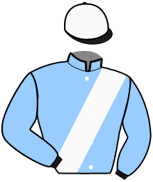 casaque portée par Ernault S. jockey du cheval de course LIBRIS EX BOURBON, information pmu ZETURF