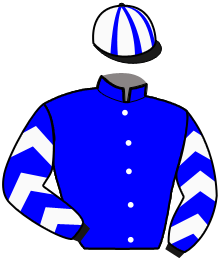 casaque portée par Scipion Th. jockey du cheval de course HESPERANCE ELTE, information pmu ZETURF