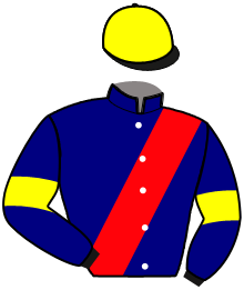 casaque portée par Chazal Mme Con. jockey du cheval de course GYPSIE MAGIQUE, information pmu ZETURF