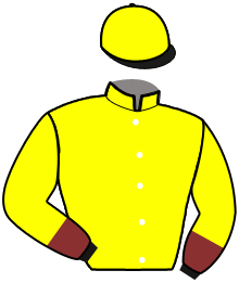 casaque portée par Ouvrie F. jockey du cheval de course ELETTA STAR, information pmu ZETURF