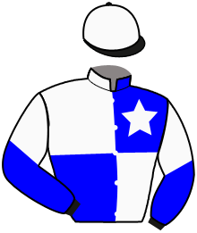 casaque portée par Gelormini G. jockey du cheval de course ERNEST JET, information pmu ZETURF
