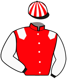 casaque portée par Chevillard B. jockey du cheval de course IERMONT, information pmu ZETURF