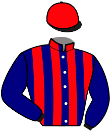 casaque portée par Allais P. M. jockey du cheval de course IDEALE D'ARCEY, information pmu ZETURF