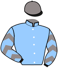 casaque portée par Baude S. jockey du cheval de course MILZANO DU BOSSU, information pmu ZETURF