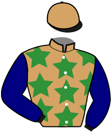 casaque portée par Jublot L. jockey du cheval de course LITTLEBOY DE PLANY, information pmu ZETURF