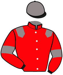 casaque portée par Lelievre Mlle C. jockey du cheval de course HIGOR DAIRPET, information pmu ZETURF