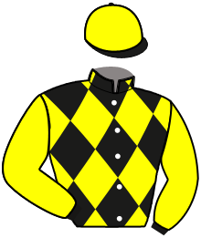 casaque portée par Sevestre R. jockey du cheval de course EASY DES FLICS, information pmu ZETURF