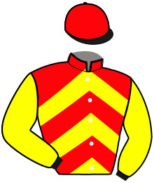 casaque portée par Yvon M. jockey du cheval de course IDEAL DE RIVRAY, information pmu ZETURF