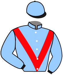 casaque portée par Thomas Ron. jockey du cheval de course BULLACE, information pmu ZETURF
