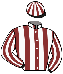 casaque portée par Boutin Hug. jockey du cheval de course ARNIS MASTER, information pmu ZETURF