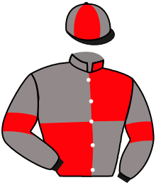 casaque portée par Gavilan Ale. jockey du cheval de course NOTRE HISTOIRE, information pmu ZETURF