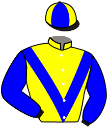 casaque portée par Martinez Torres Adr. jockey du cheval de course ATHELIA, information pmu ZETURF