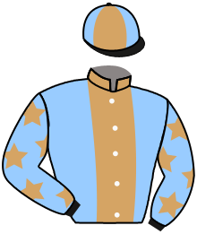 casaque portée par Seguy V. jockey du cheval de course GRISGRISES, information pmu ZETURF
