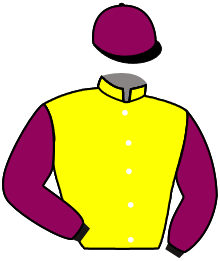 casaque portée par Werle A. jockey du cheval de course LOFTI DU BREUIL, information pmu ZETURF