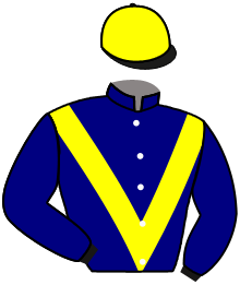 casaque portée par Merille C. jockey du cheval de course FASKO, information pmu ZETURF