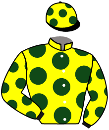 casaque portée par Merille C. jockey du cheval de course SINERGY, information pmu ZETURF