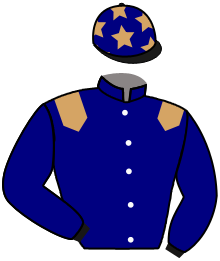 casaque portée par Romary Mlle M. jockey du cheval de course DIVINE DE LENZAC, information pmu ZETURF